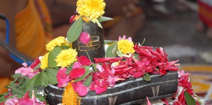 saune-sakranti